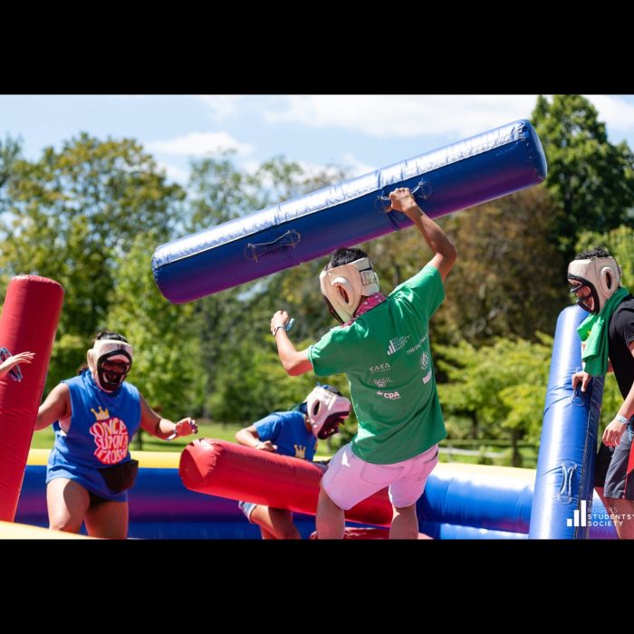 4-Player Gladiator Joust - Image 3